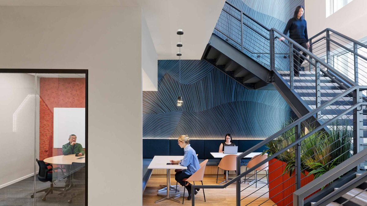 华人策划协会，纽约 -9