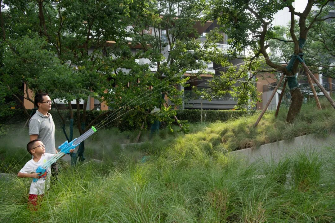 穿水公园——麓湖活水公园首开段 | Lab D+H 实践-75