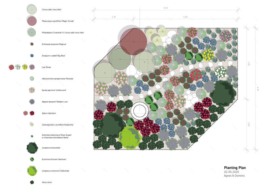 Maatük多年生植物床丨爱沙尼亚塔尔图-10