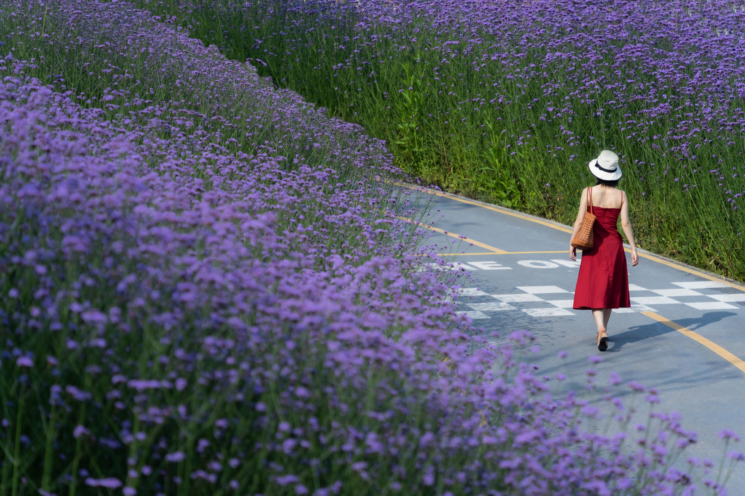 重庆华侨城滨江休闲带丨中国重庆丨WTD纬图设计-39