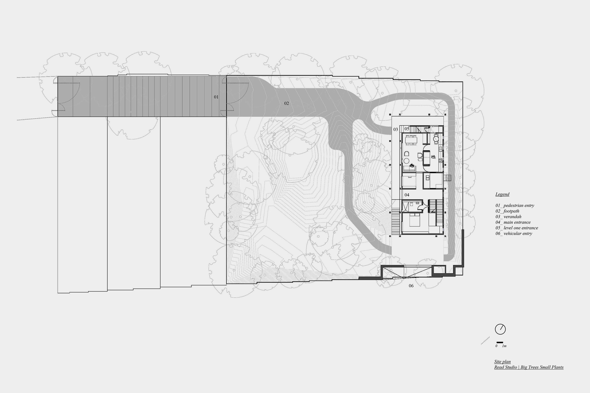 大树小植物屋丨Read Studio-13