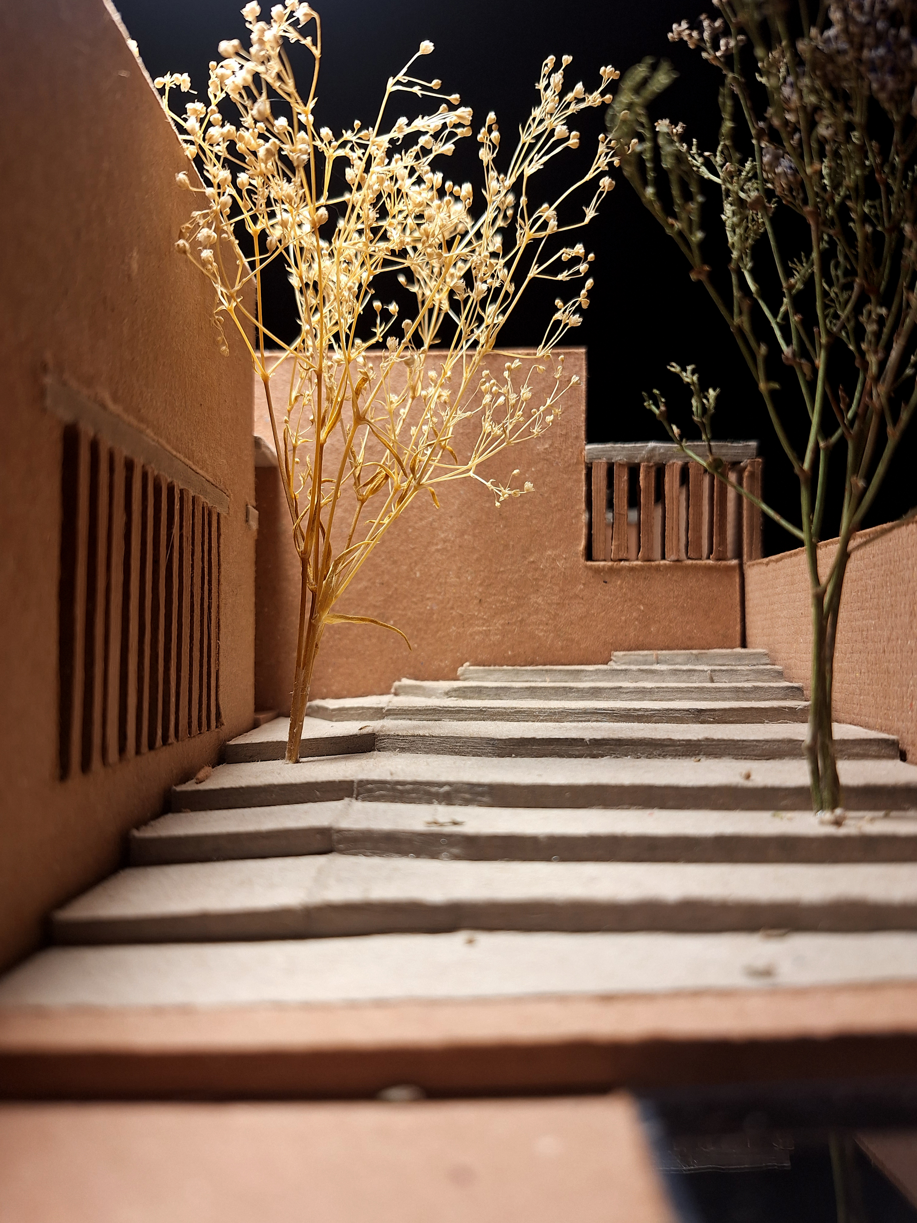 皮鲁莱斯之家丨墨西哥丨Escobedo Soliz（Pavel Escobedo等）-37