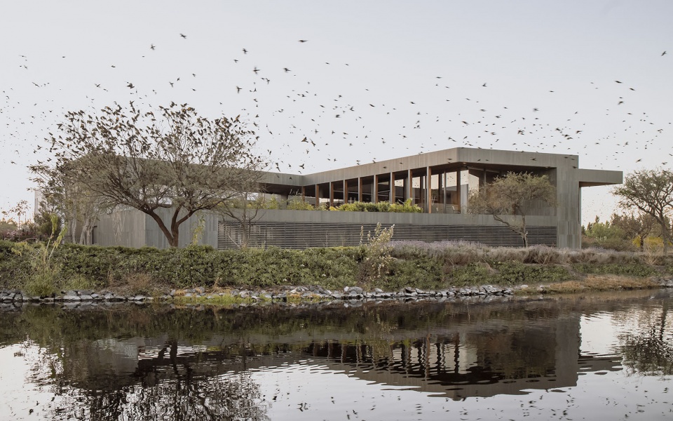 Basaltica 住宅丨REIMS 502-3