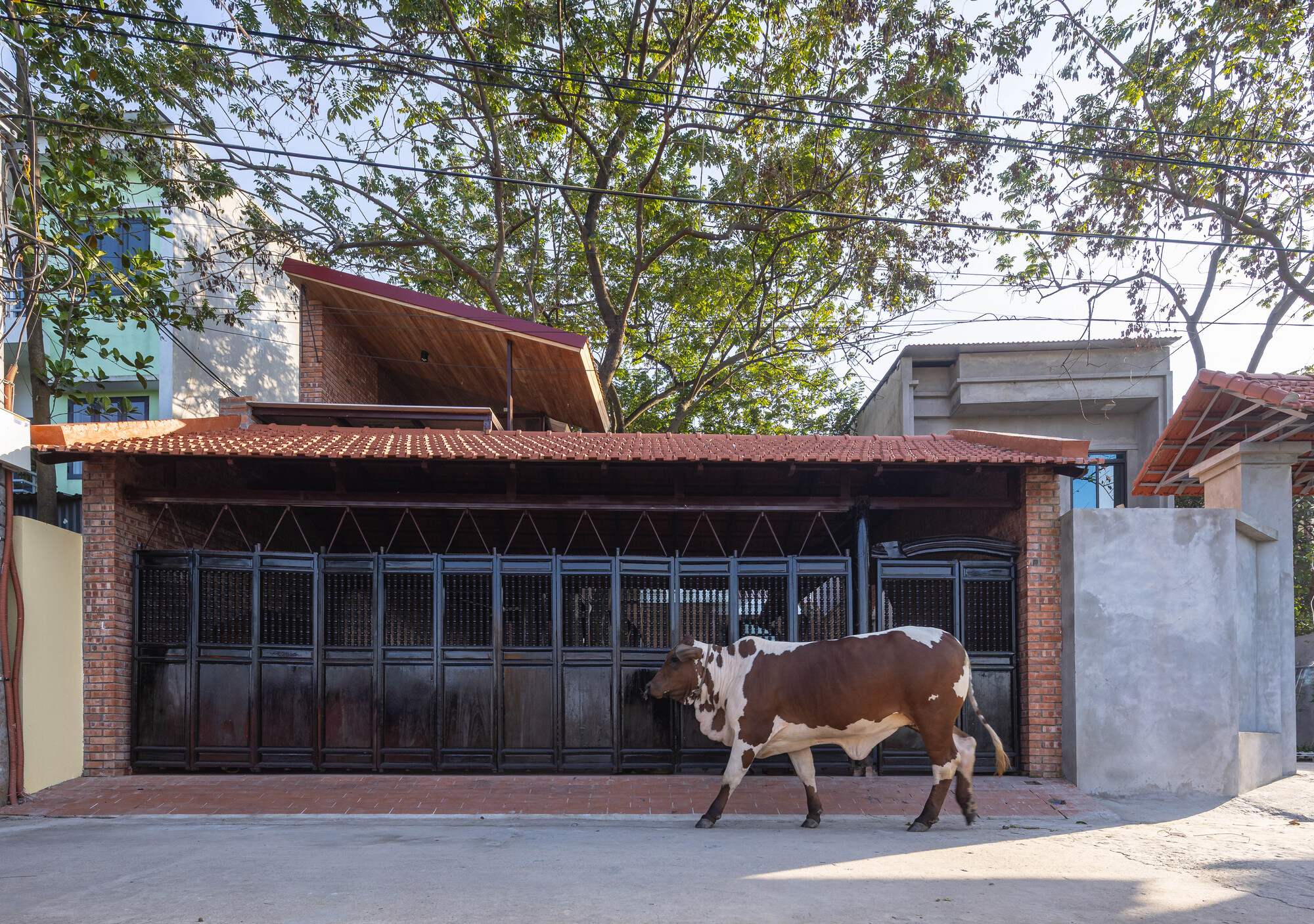 丨越南河内丨Trung tran Studio-11