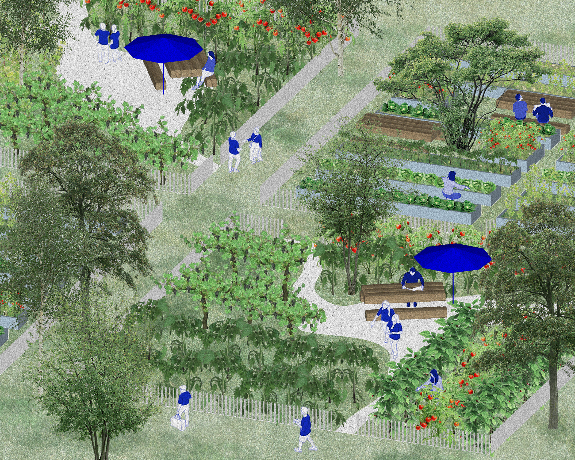 布达校园丨匈牙利布达佩斯-22