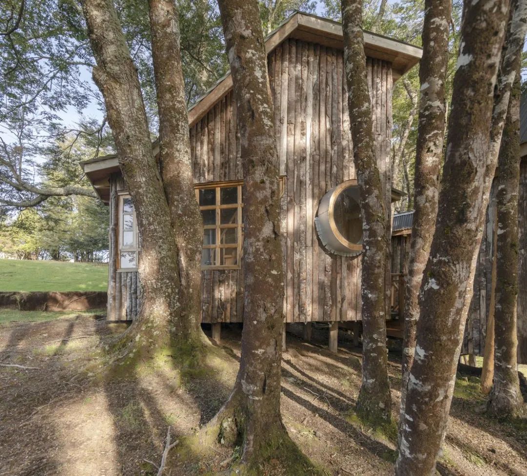 木屋世界 | 奇洛岛奎伦公社自然奢华露营-39