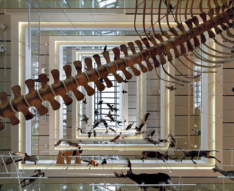 绿色都市新地标——意大利 Trento Le Albere 社区与 MUSE 博物馆-25