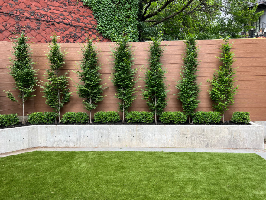 Williamsburg新公寓荫蔽花园丨美国纽约-23