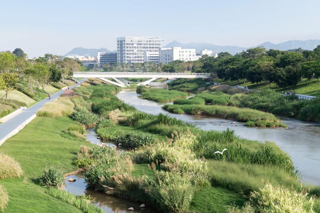 茅洲河碧道·光明段生态修复试点-16