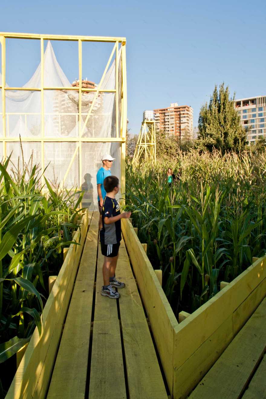 岔路花园(The Garden of Forking Paths)-18