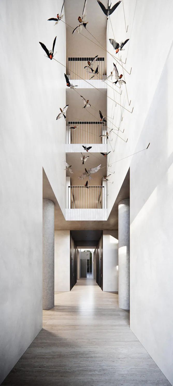 墨尔本 Carr Design 实践 | 豪华住宅设计典范-35