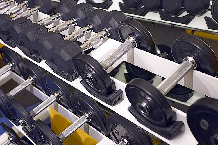 Hotel Indigo Chicago Downtown Gold Coast-19