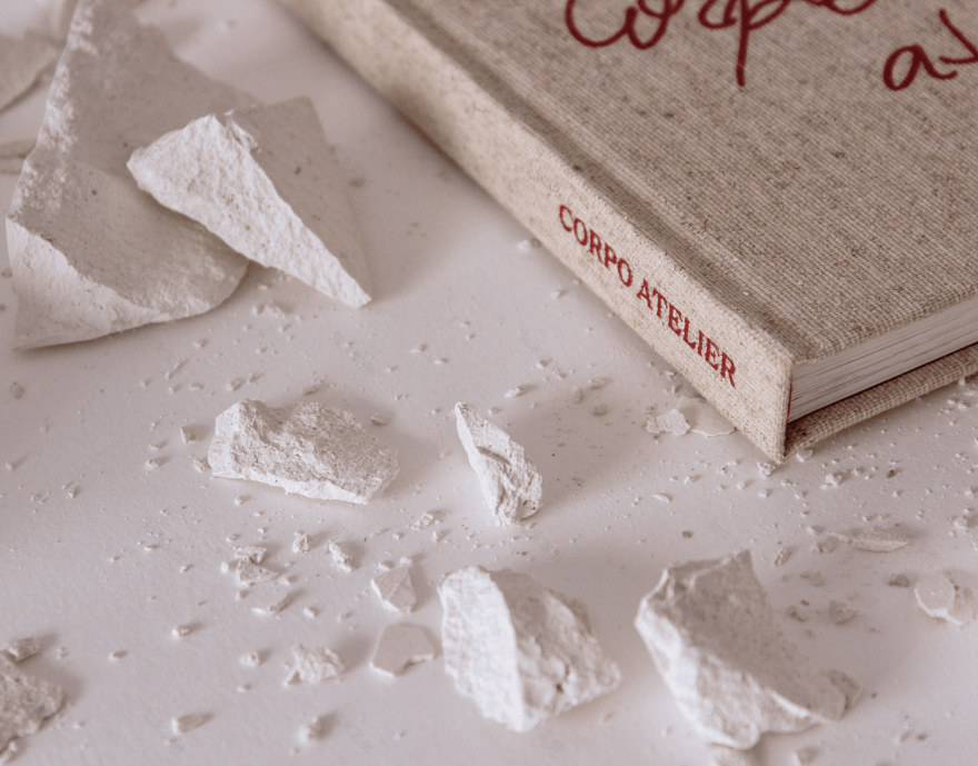 可能的解剖结构,2020-9