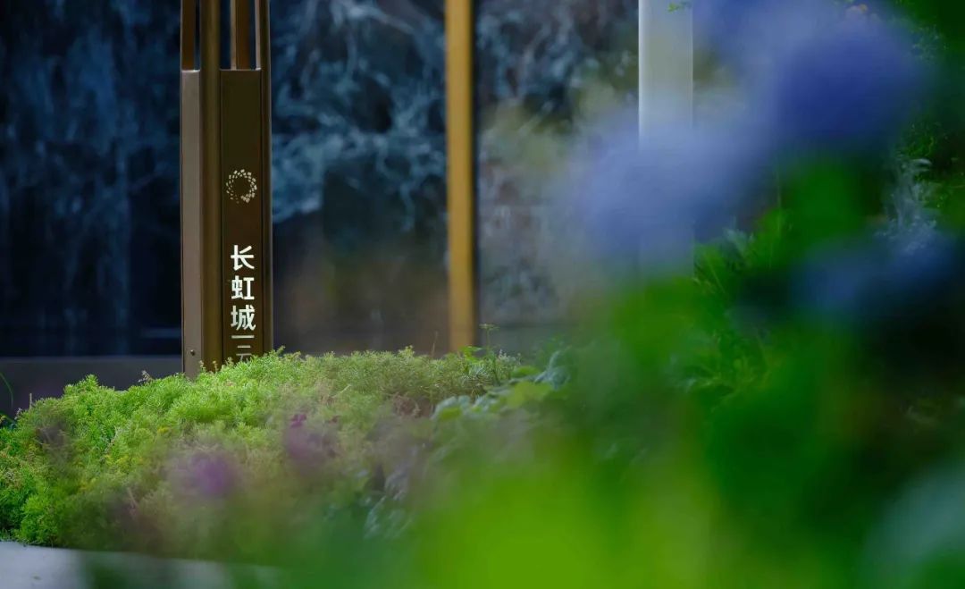 长虹城·云麓展示区丨中国绵阳丨CELEC成都绿茵景园-159