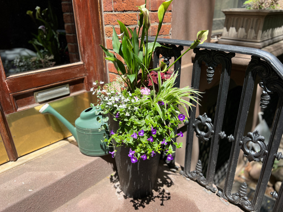 Brooklyn Heights reno-32