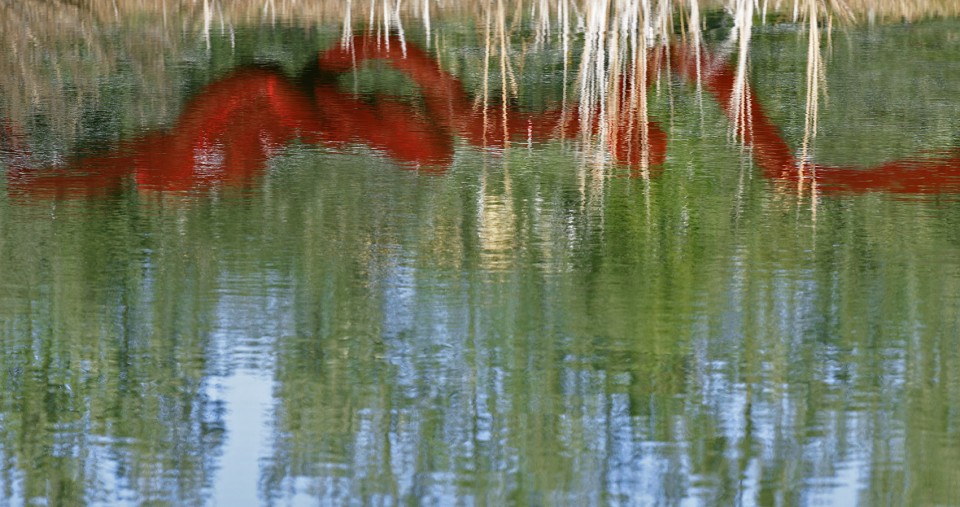 Edra 作品摄影集-35