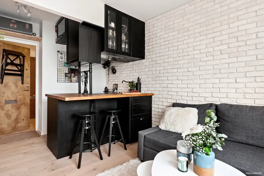 20 平米小空间的魅力打造-1