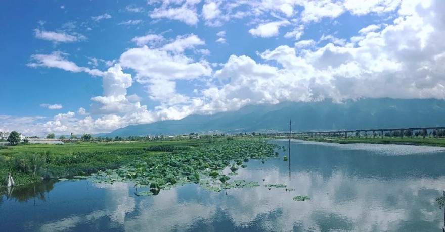 邂逅洱海之畔-8
