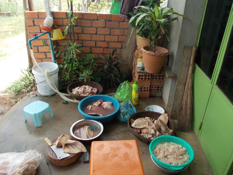 AD  Prototypes houses（原型房屋）丨柬埔寨-8