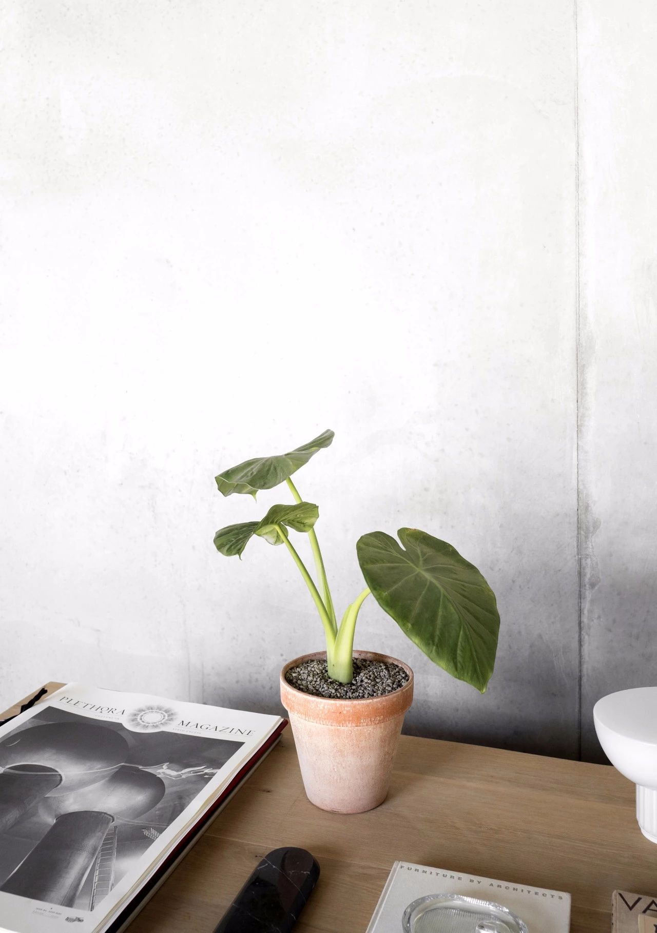 哥本哈根 700 平方米菜单空间,打造创意社区-13