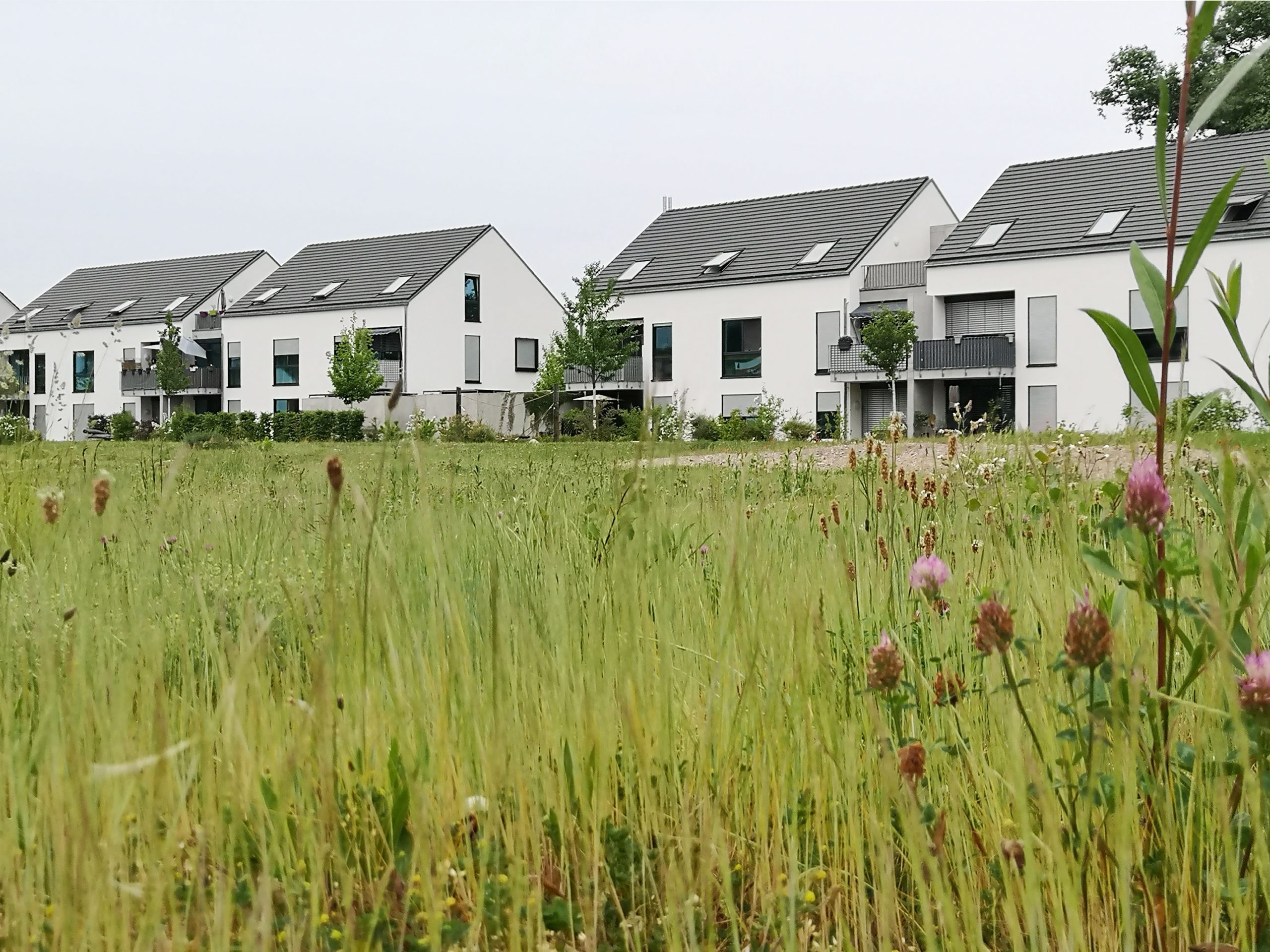 Rheinbergstrasse住宅项目丨德国卡尔斯鲁厄丨Weber & Partner Architekten-26