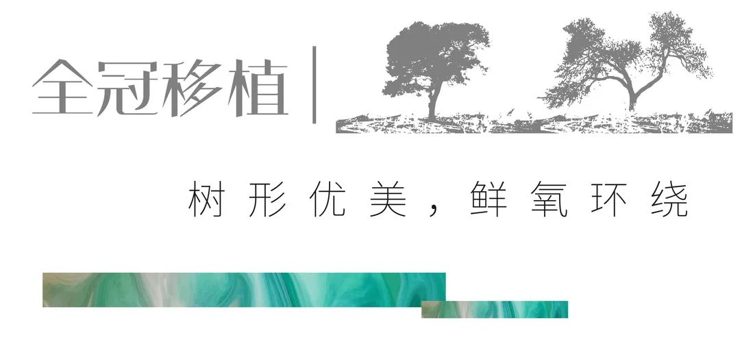 恒大重庆湖景园林丨中国重庆丨恒大集团重庆公司-60