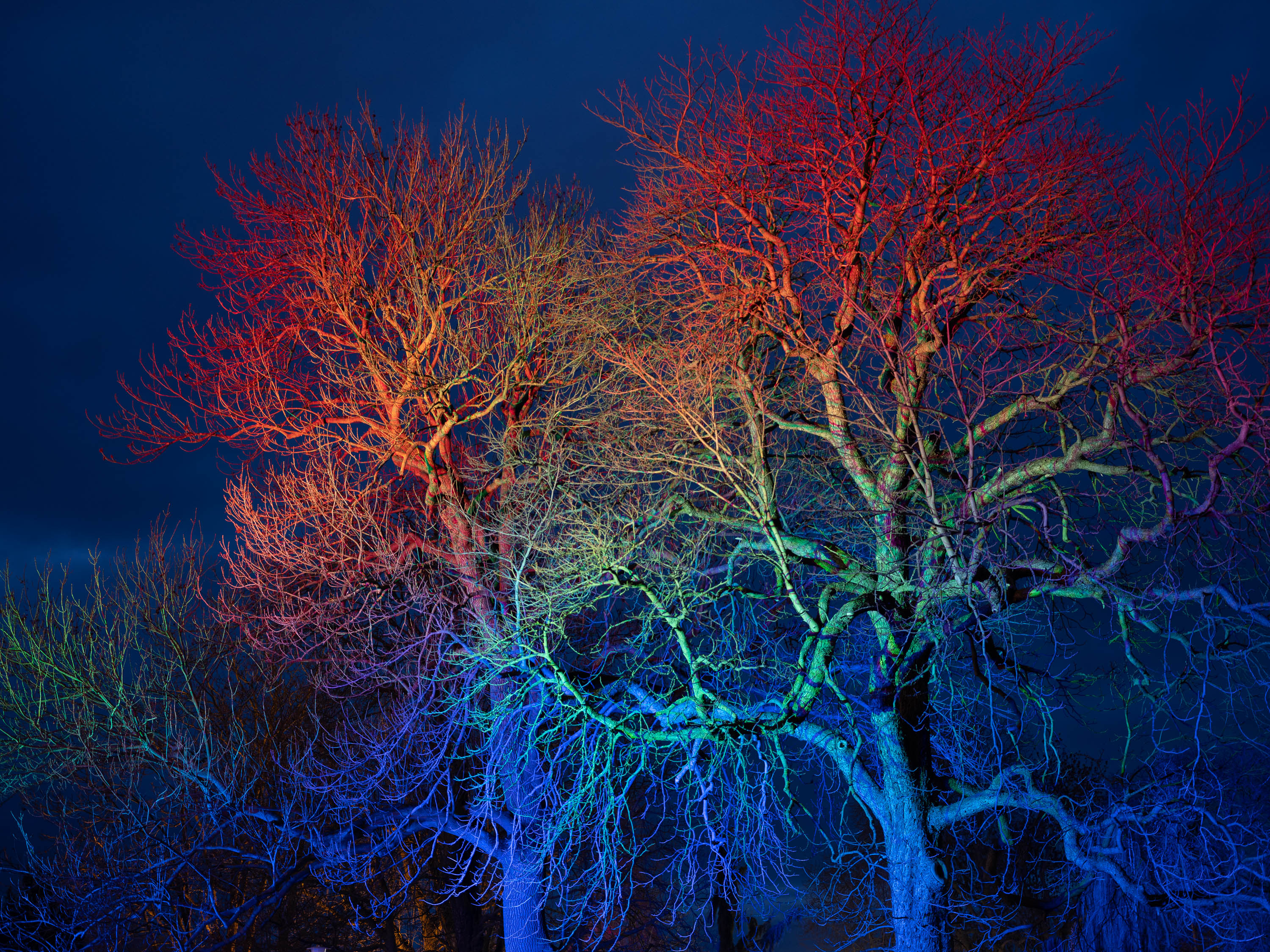 冬日之光丨德国-13