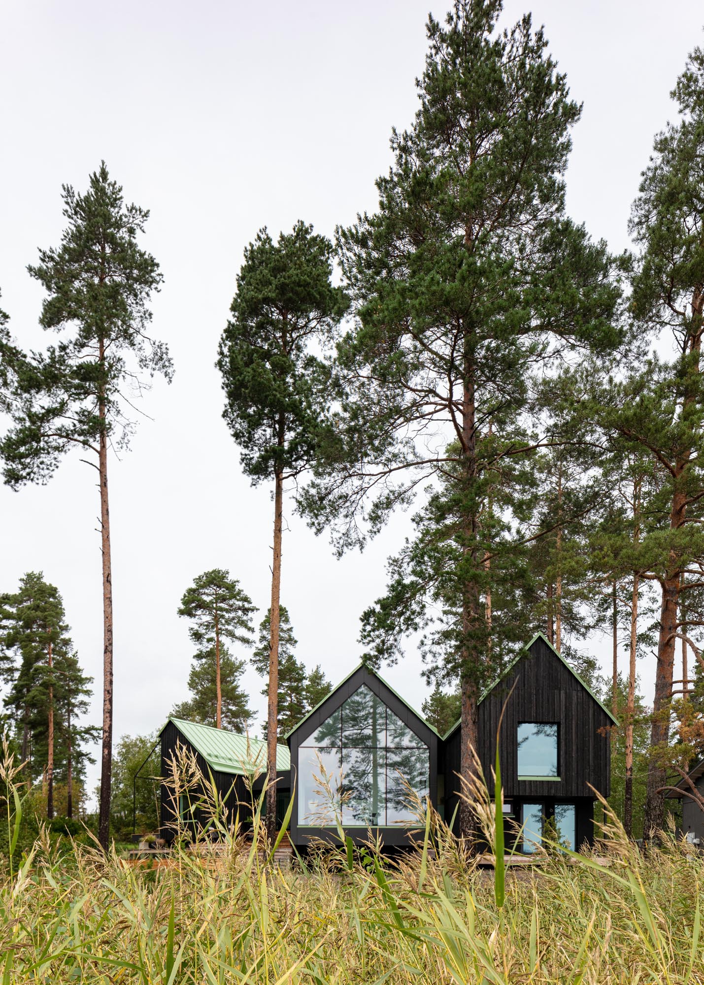 狗与医生之家丨芬兰丨Pirinen Salo Oy-11