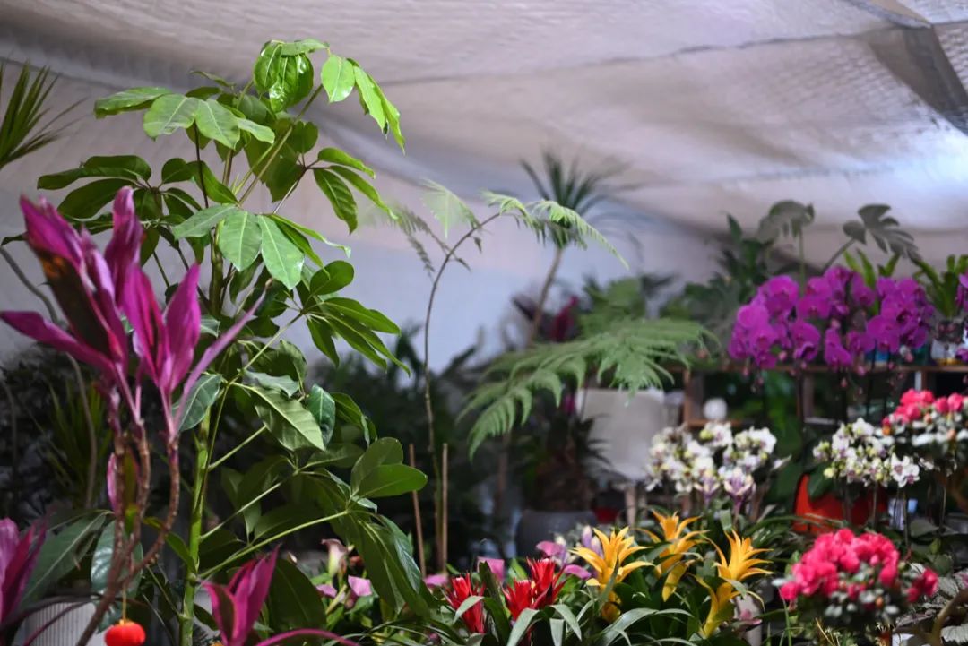 陈海峰  影像纪实 / 东湖之上-32