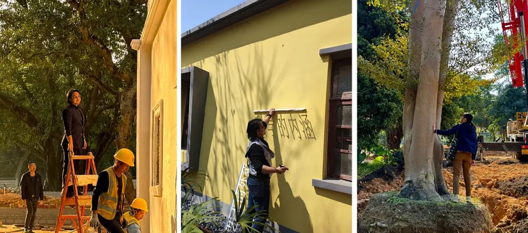 十一赏景别错过！华南国家植物园[绿美广东物种展示园]-101