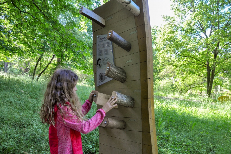 埃尔福特艾格公园知识森林丨德国丨德国雷瓦德景观建筑事务所-62