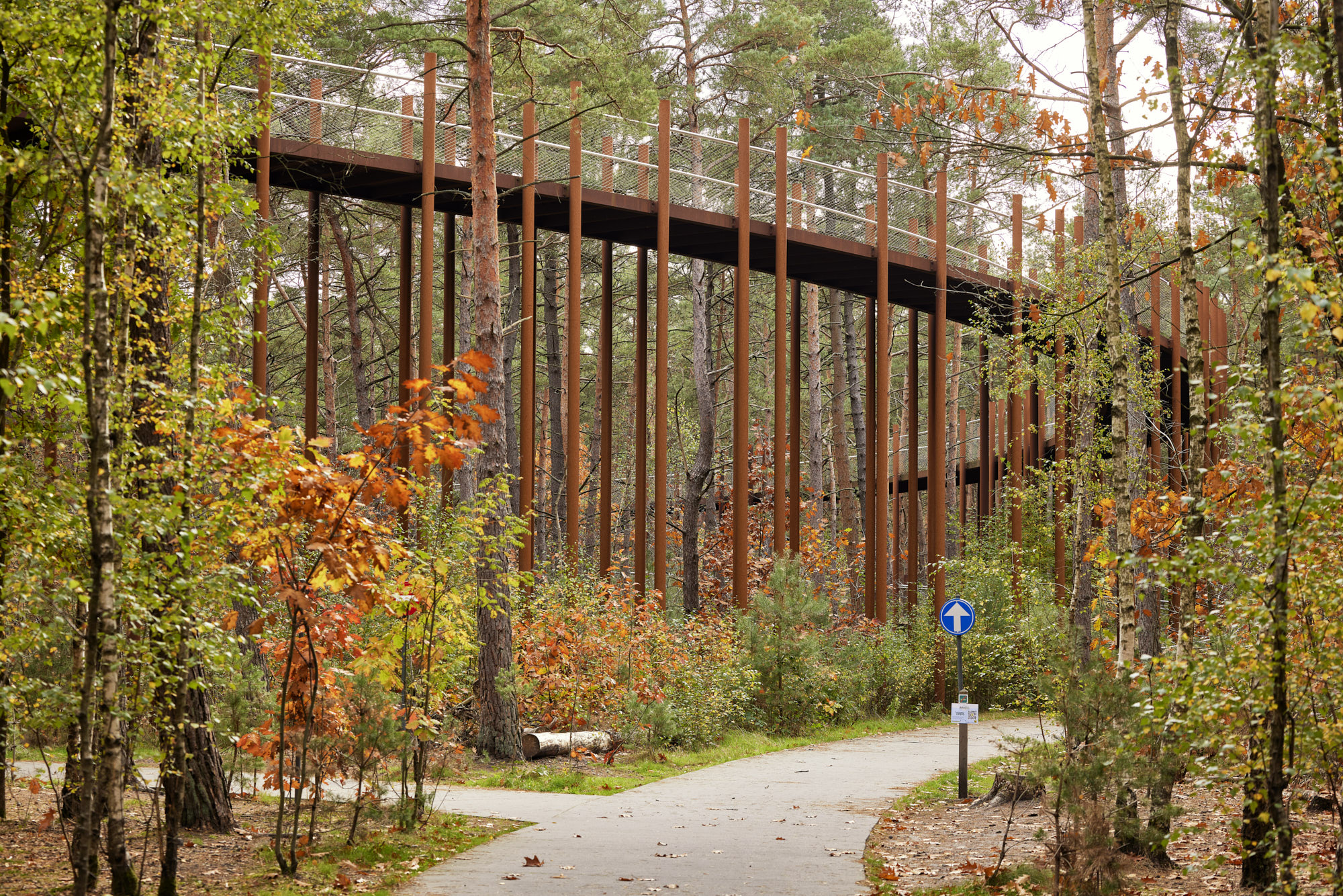 在树林中骑行丨Visit Limburg-1