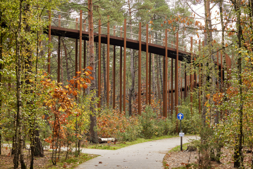 在树林中骑行丨Visit Limburg-1