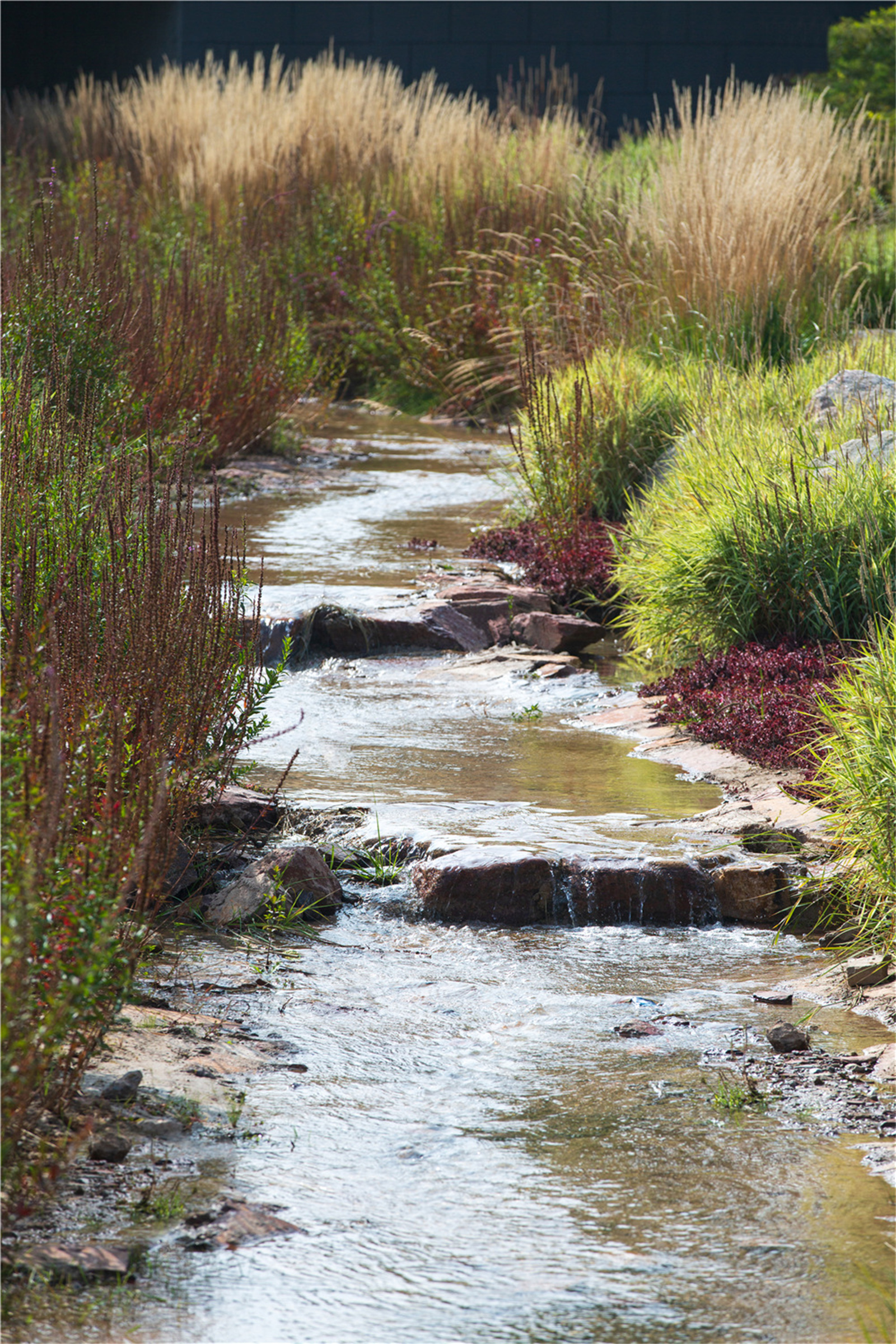 宁夏固原市海绵公园丨中国固原-12
