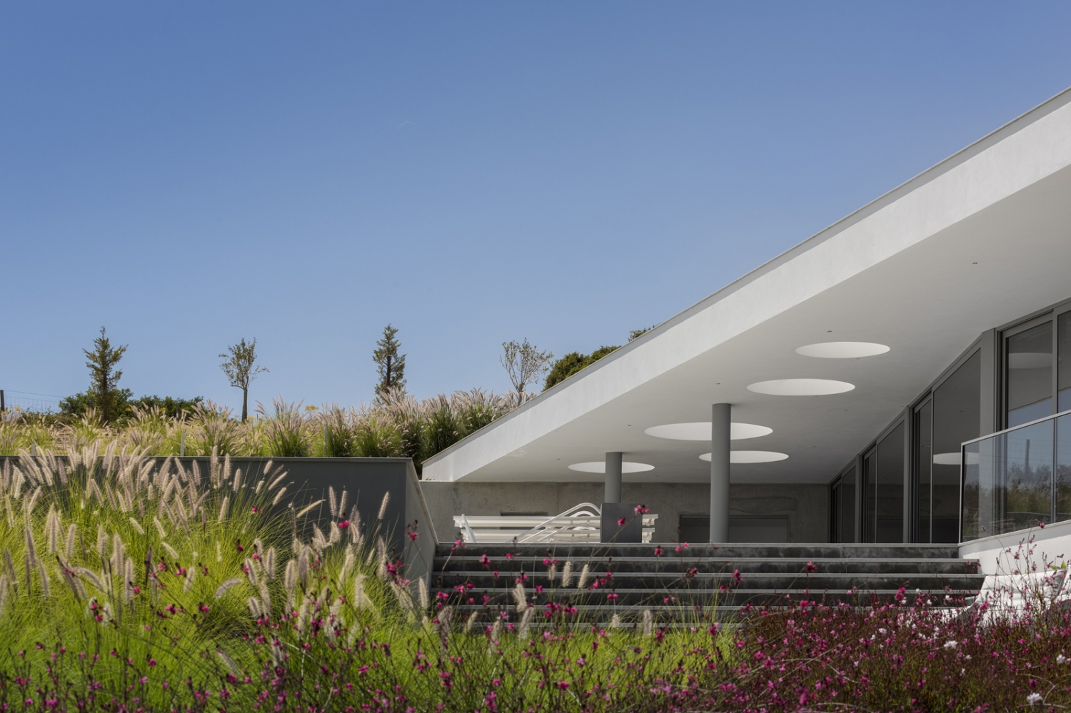 葡萄牙Zauia别墅丨Mario Martins Atelier-22