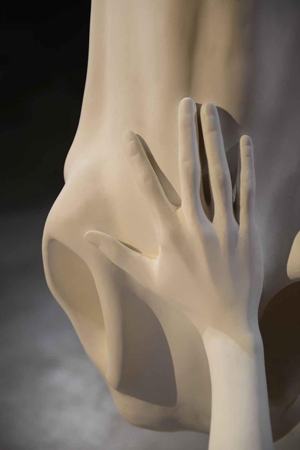 问题之马 / Claudia Fontes-27