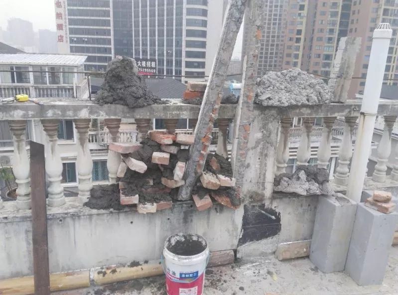 不惑之年，他自己动手建了一座楼顶花园，养花种菜喂鱼……-83