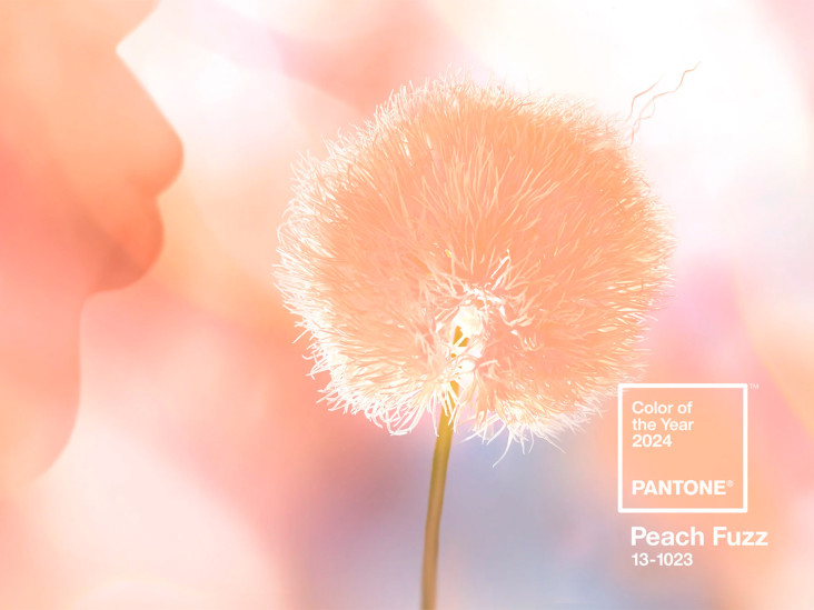 Цвет 2024 года: 10 вариантов-12