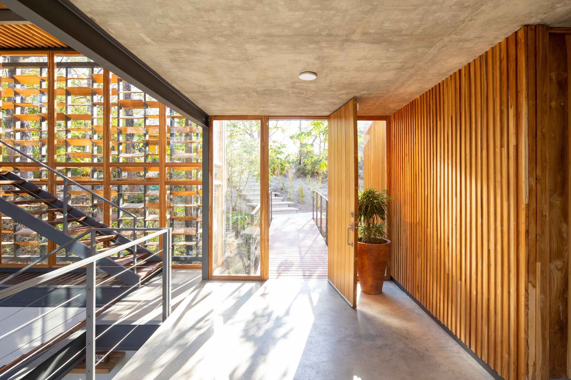 丛林框架房屋-4