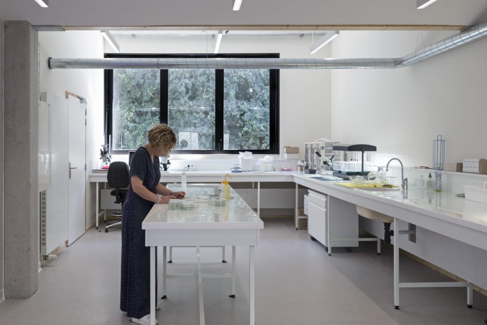 布雷斯特国家植物园及绿地服务设施改造项目丨法国丨APM & associés  建筑师城市规划师-6