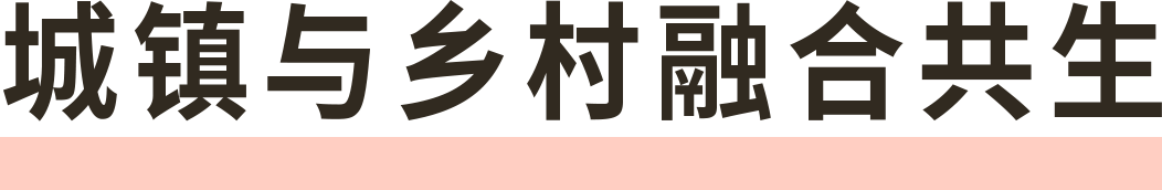 ZUP资讯｜《杭州市临平区塘栖镇国土空间总体规划（2021—2035年）》入选省典型案例-17