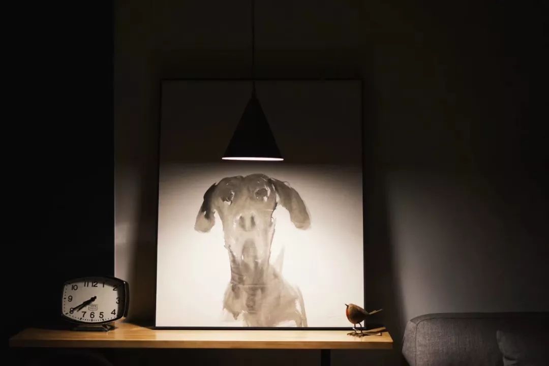 光·景 | 绍兴 180㎡书香世家的阳光生活-47