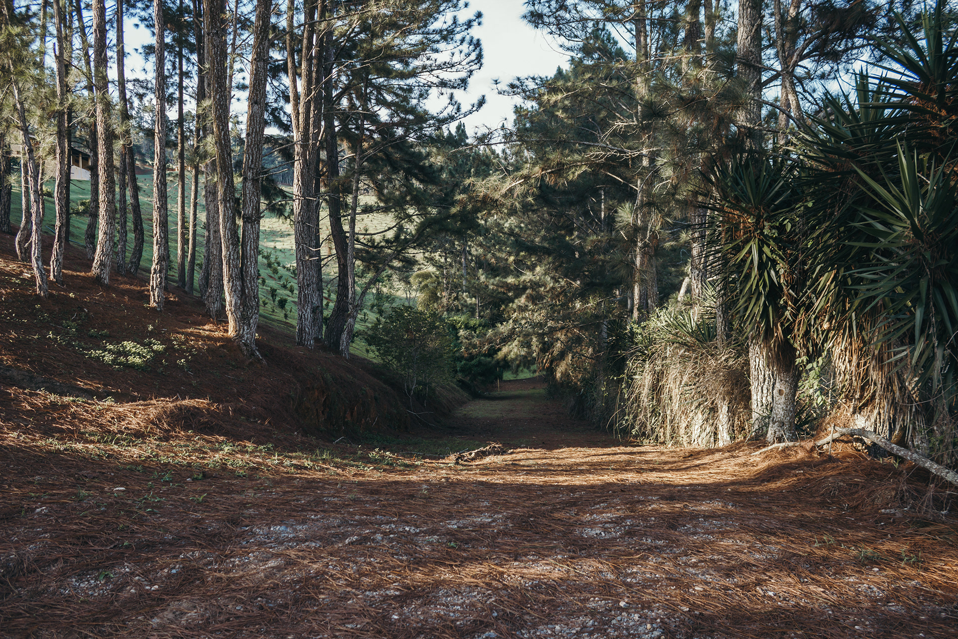 CMG 营地测绘丨委内瑞拉-11