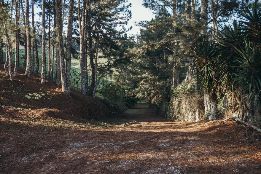 CMG 营地测绘丨委内瑞拉-11