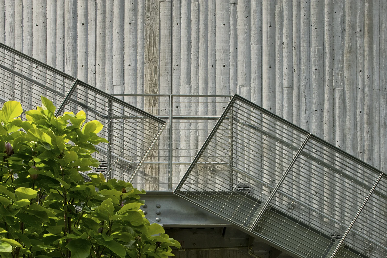 马林学院美术大楼丨Wong Logan Architects-7