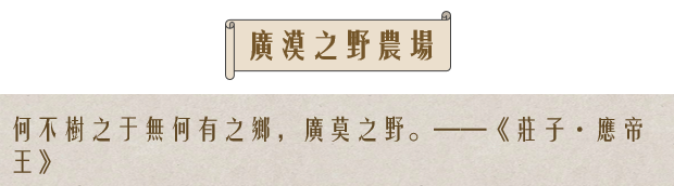 庄子逍遥元宇宙|一场穿越千年的东方奇幻之旅——用建筑语言解构庄子的逍遥梦境-111