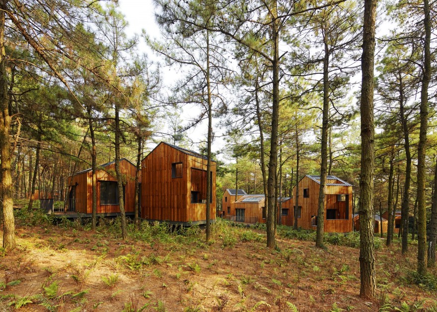 南京桠溪高淳枕松度假酒店 / BAU-4