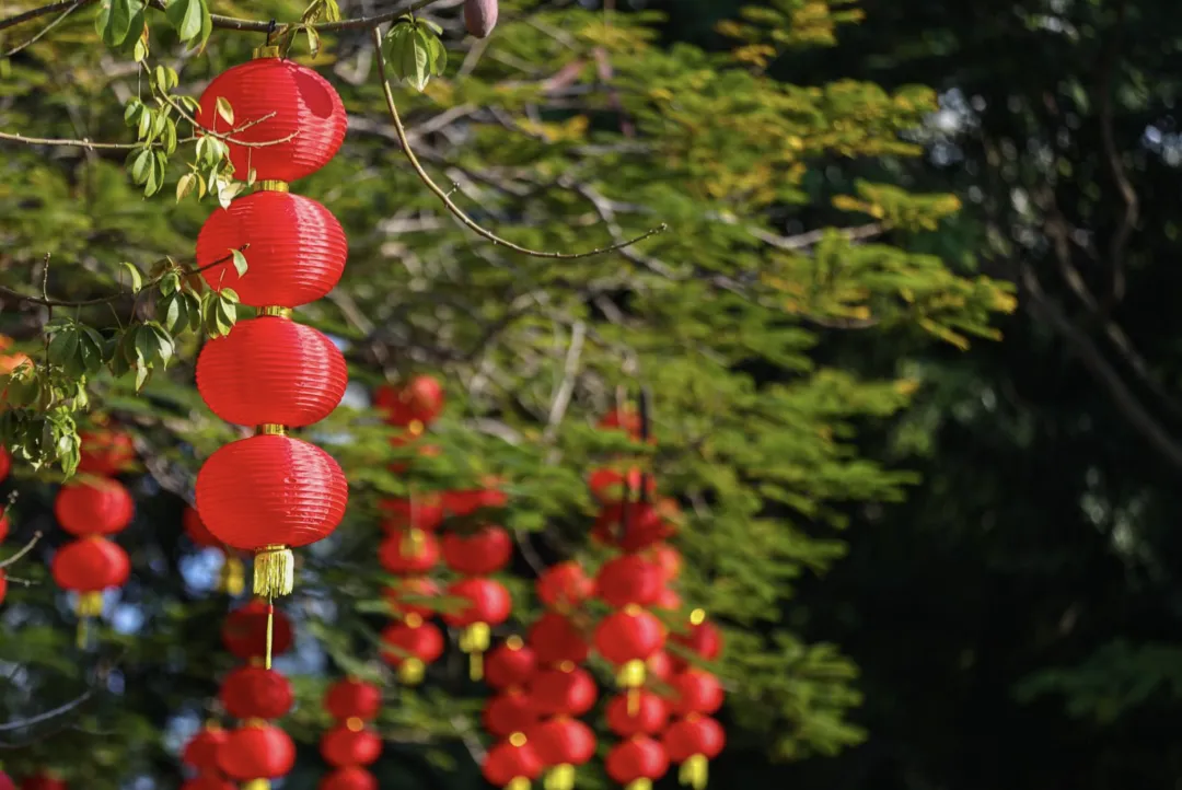 福启新岁,花漾园岭新春氛围营造丨中国深圳丨园岭街道-39