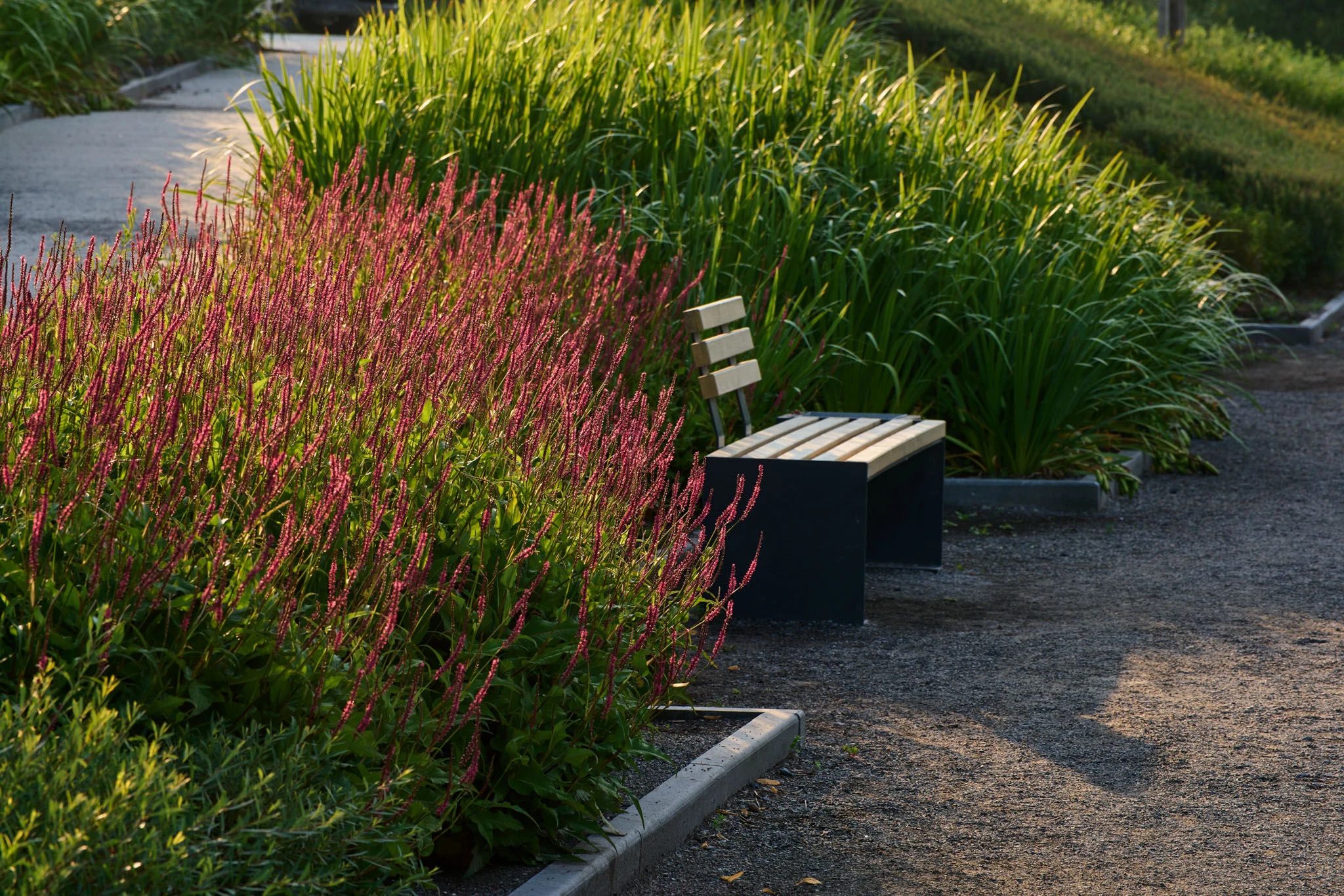 河滨公园丨俄罗斯新西伯利亚-63