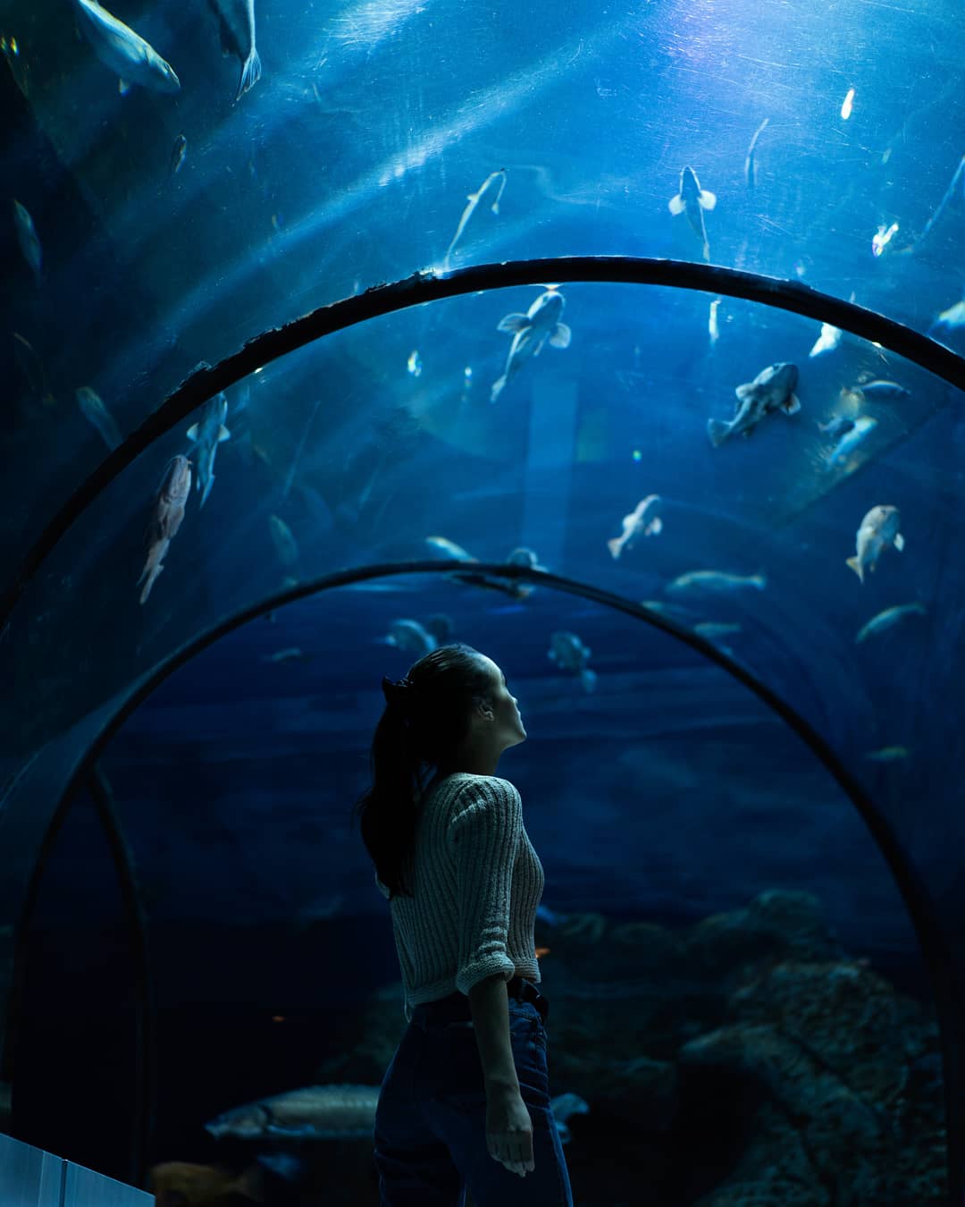 海蓝宝石毕业设计丨埃及丨埃及科技大学建筑系-2